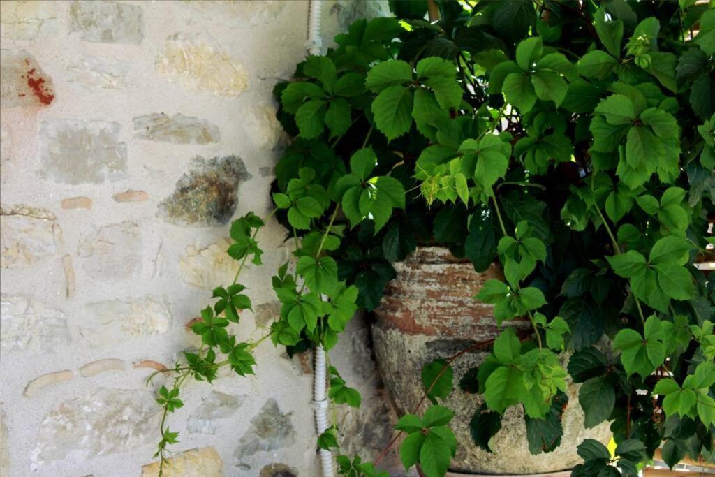 Traditional Stone House At Great Location Koróni Εξωτερικό φωτογραφία
